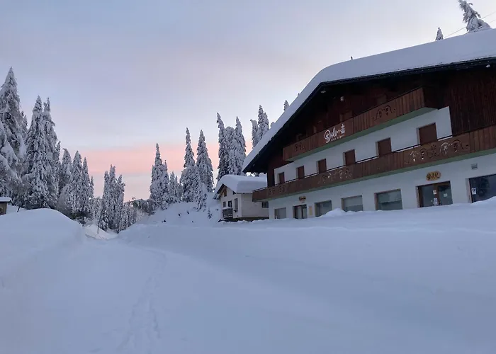 Hotel Dolomiti Des Alpes