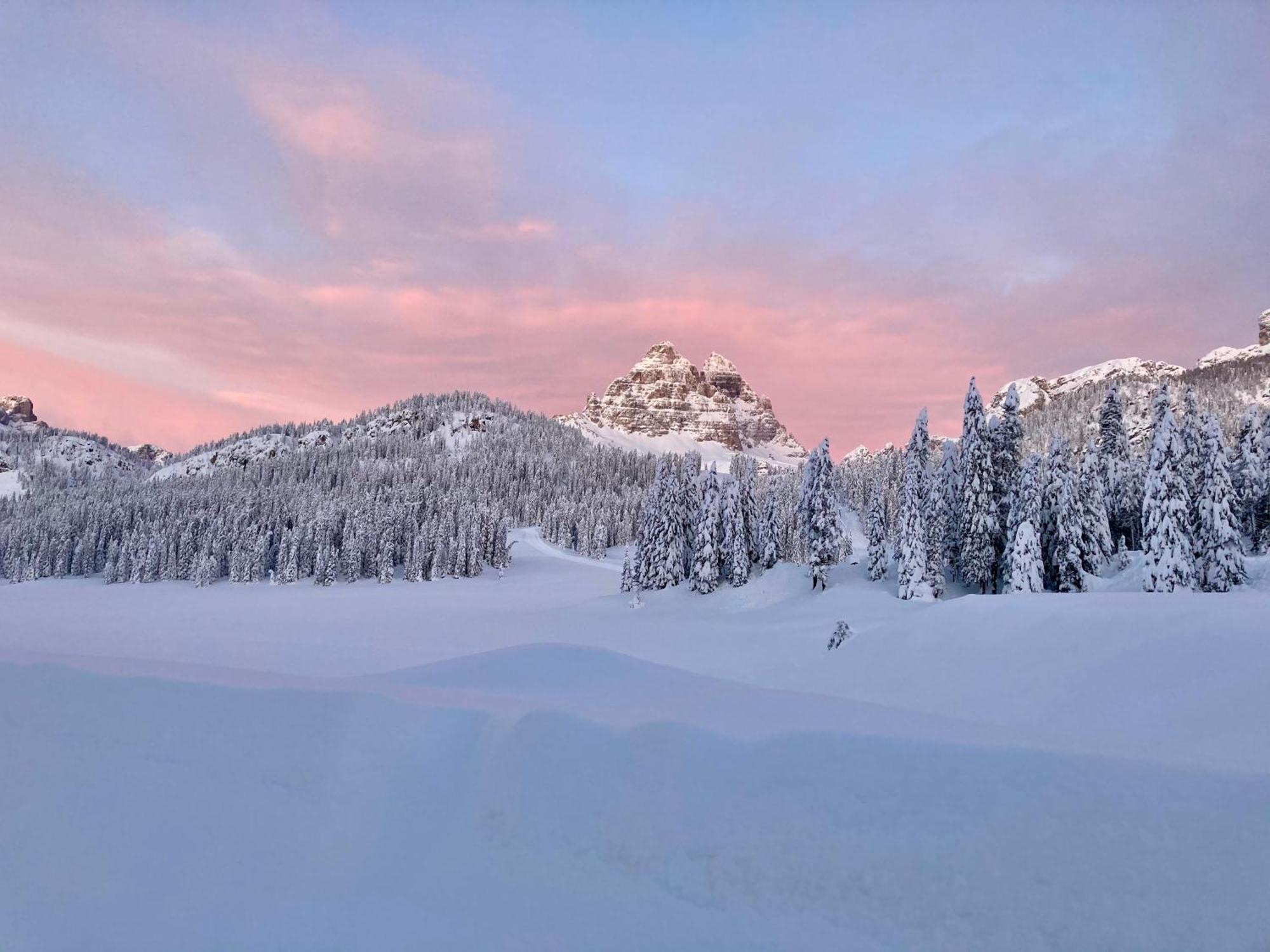 Hotel Dolomiti Des Alpes Misurina
